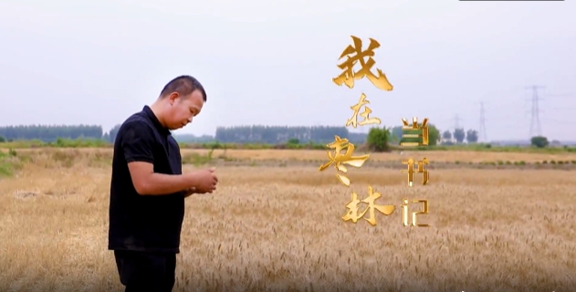 《我在棗林當(dāng)書記》